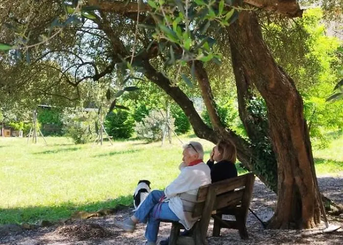 Castello Farnese, Roma, Sulla Via Francigena